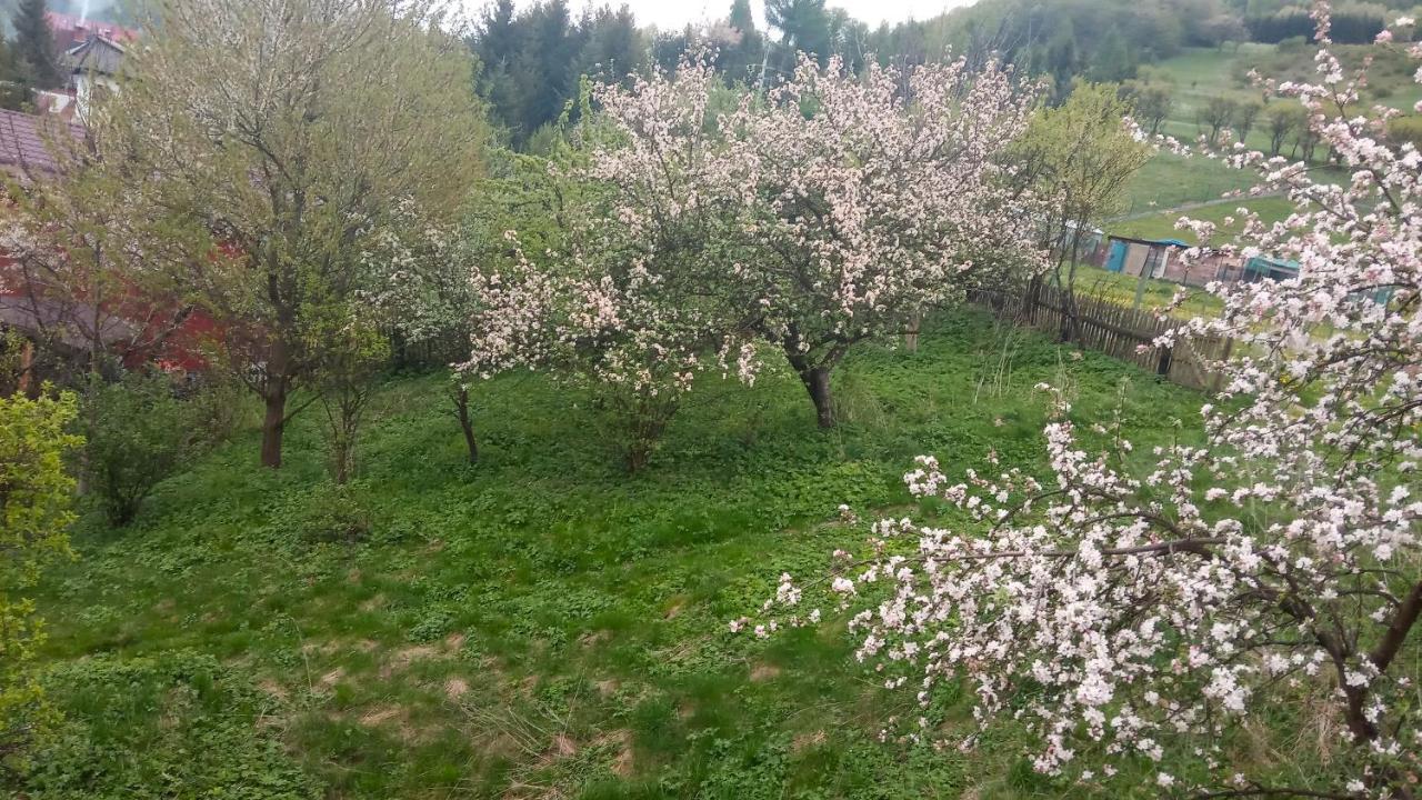 Pokoje U Adama Grajoka Szczawnica Exteriör bild