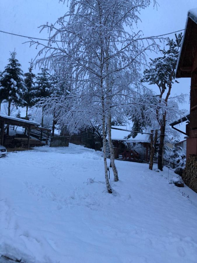 Pokoje U Adama Grajoka Szczawnica Exteriör bild
