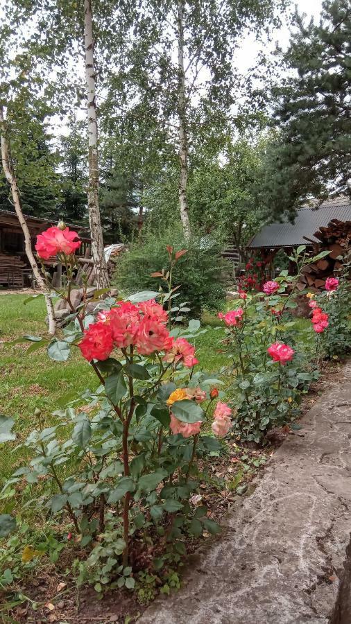 Pokoje U Adama Grajoka Szczawnica Exteriör bild