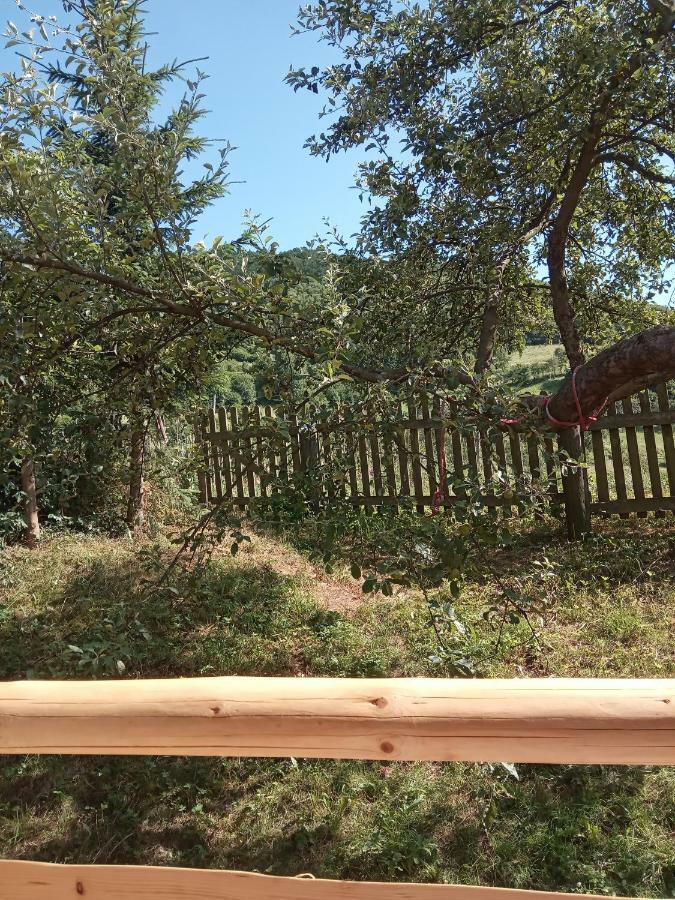 Pokoje U Adama Grajoka Szczawnica Exteriör bild